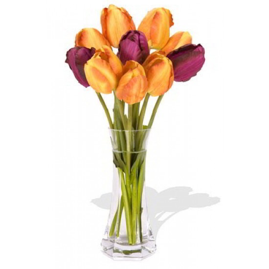 10 Mixed China Tulips Bouquet